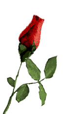 rosefcp.gif (2433 bytes)
